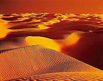 《拳皇15》免费DLC角色“高尼茨” 6月20日上线